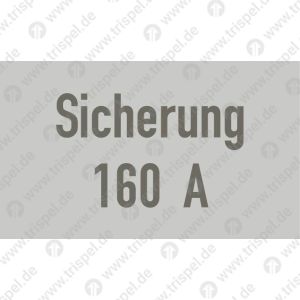 Sicherung 160 A