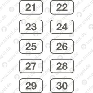 Platznummern 21 bis 30Einzelformat: 40 x 24