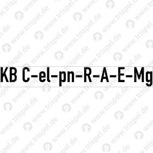Bremsbezeichnung A-WagenKB C-el-pn-R-A-E-MgNach DIN EN 15877-2 4.5.9