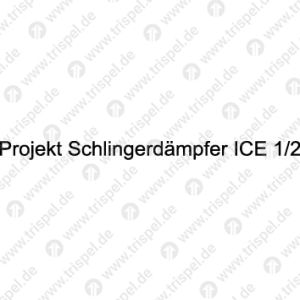 Projekt Schlingerdämpfer ICE 1/2