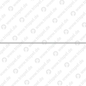 Unterstrich für Ausbesserungen zu D-DB Wagennummer mit Gattungsbezeichnung und Bauartnummer (variabel)z.B.: D-DB 50 80 XX - XX XXX - X DBpza 751.1