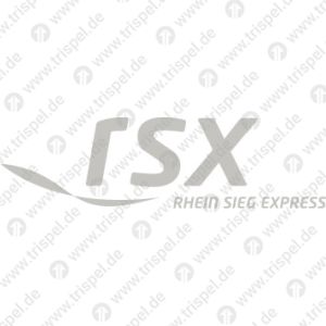 RSX Logo
