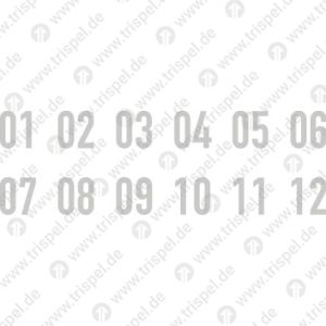 Ziffernsatz 01-12, 20 mm, fette Engschrift, Eindruckzahlen für Gewährleistung - Einzelformat 11 x 20 mm