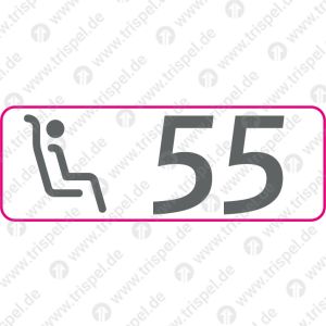 Sitzplatzreservierungsanzeige Gangplatz 55, BR 408