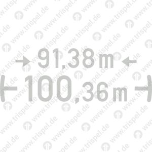 Drehzapfenabstand und Länge über Puffer mit Eindruck 91,38 m 100,36 mNach DIN EN 15877-2