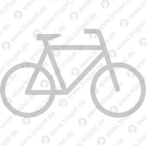 Fahrrad rechtsweisendTeil 1 (Glasfläche)