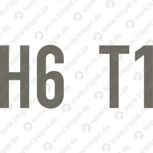 H6 T1