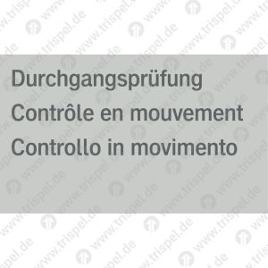 Durchgangsprüfung - 3-sprachig